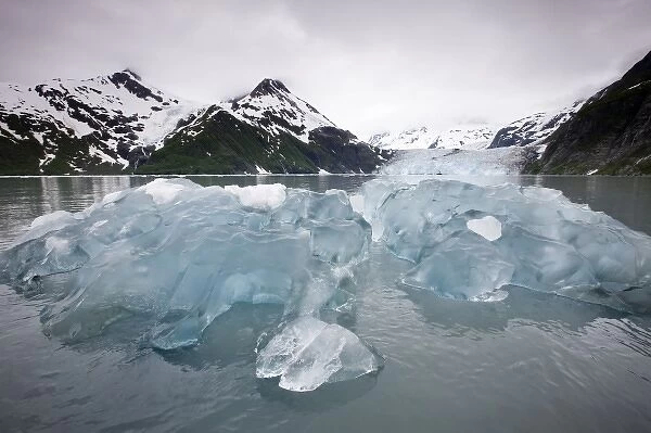 USA, Alaska, Iceberg and Surprise Glacier in Harriman Fiord in Prince William Sound