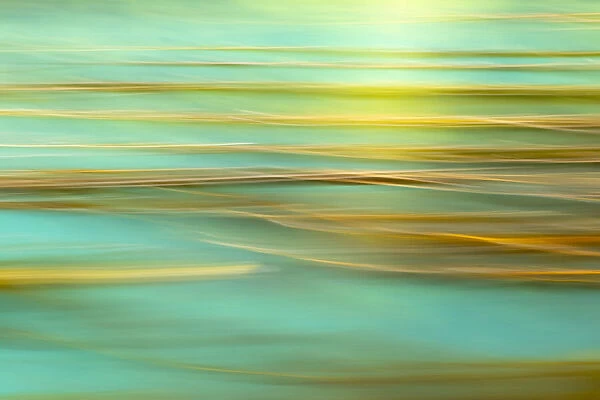 USA, Alaska, Inian Islands. Abstract of kelp in motion. Credit as