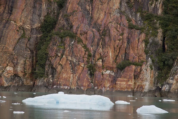 USA Alaska InsidePassage Ice Flow