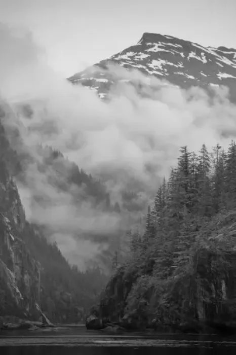Framed Print : USA, Alaska, Juneau, Rainforest covers fjords in Fords Terror along Endicott Arm Framed Print : USA, Alaska, Juneau, Rainforest covers fjords in Fords Terror along Endicott Arm