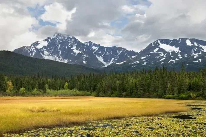 Framed Print : USA, Alaska, Kenai Peninsula. Early autumn landscape