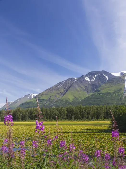 Framed Print : USA, Alaska, Kenai Peninsula. Mountain and lake landscape