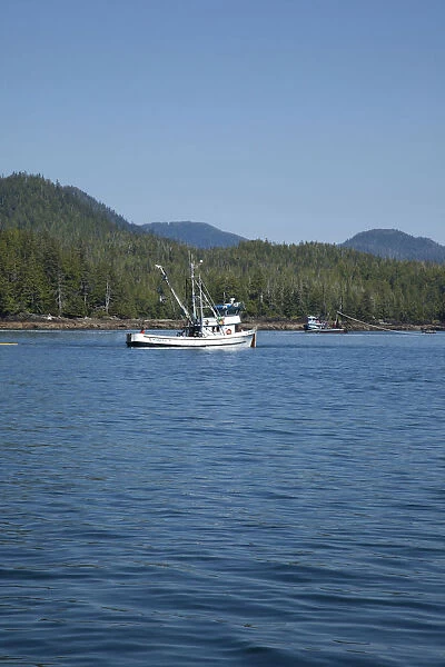 USA, Alaska, Ketchikan area, seiner fishing boat