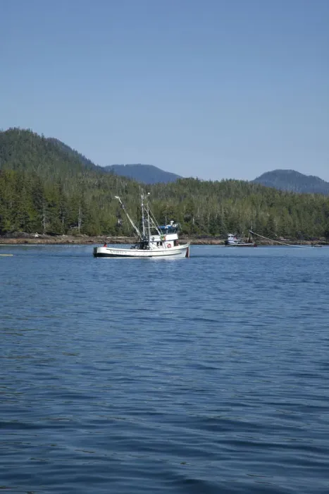 Framed Print : USA, Alaska, Ketchikan area, seiner fishing boat