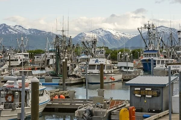 USA, Alaska, Kodiak, Fishing Boats in St. Paul Harbor
