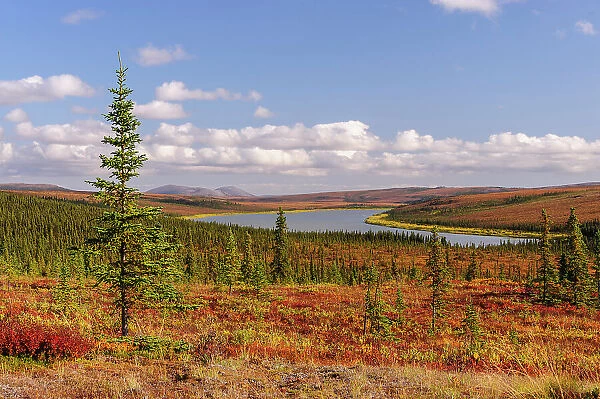 USA, Alaska, Kotzebue, Noatak River. Autumn colors along the Noatak River