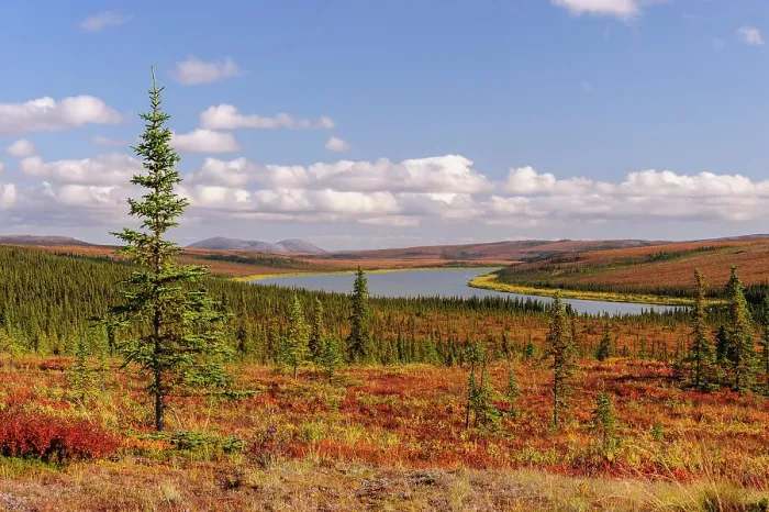 Framed Print : USA, Alaska, Kotzebue, Noatak River. Autumn colors along the Noatak River Framed Print : USA, Alaska, Kotzebue, Noatak River. Autumn colors along the Noatak River