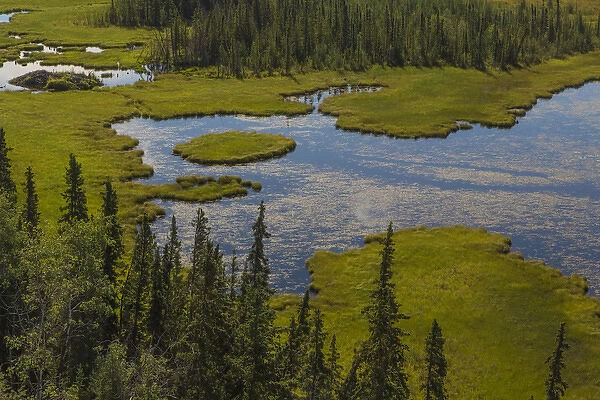 USA, Alaska. Landscape with Moose Pond. Credit as: Don Paulson  /  Jaynes Gallery  /  DanitaDelimont