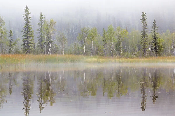 USA, Alaska, Little Lost Lake. Landscape with lake and foggy forest