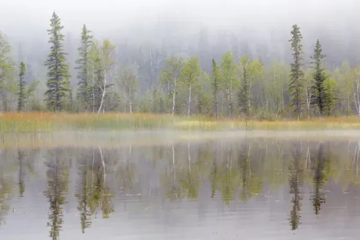 Framed Print : USA, Alaska, Little Lost Lake. Landscape with lake and foggy forest Framed Print : USA, Alaska, Little Lost Lake. Landscape with lake and foggy forest