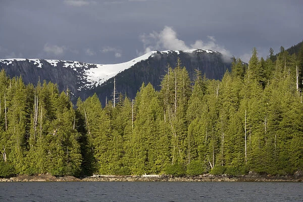 USA, Alaska, Misty Fjords National Monument, Setting sun lights rainforest along
