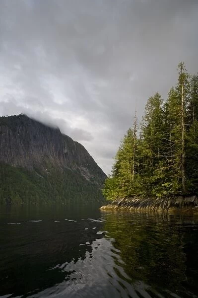 USA, Alaska, Misty Fjords National Monument, Setting sun light rainforest along Rudyerd