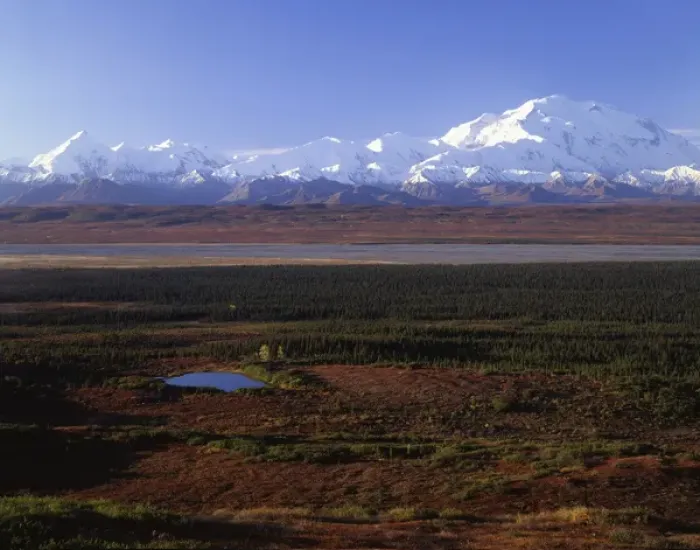 Framed Print : USA, Alaska, Mount McKinley, Fall, Denali National Park
