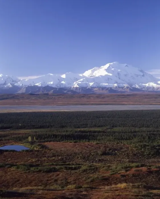 Framed Print : USA, Alaska, Mount McKinley, Fall, Denali National Park