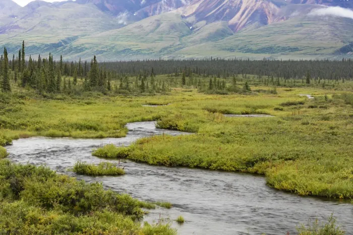Framed Print : USA, Alaska, Nenana River Valley. Landscape with Seattle Creek Framed Print : USA, Alaska, Nenana River Valley. Landscape with Seattle Creek