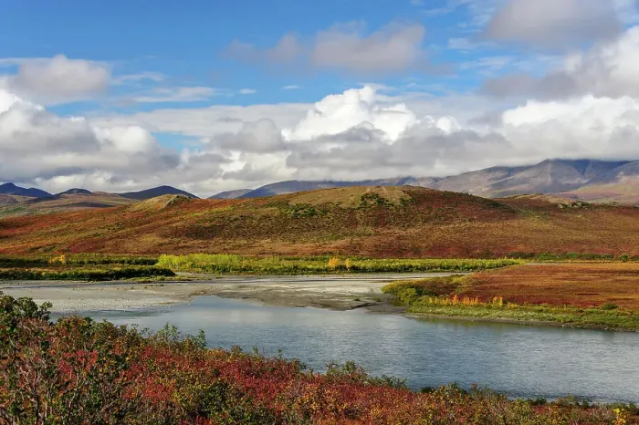 Framed Print : USA, Alaska, Noatak National Preserve. Autumn colors at the confluence between Noatak and Niniuktuk Rivers Framed Print : USA, Alaska, Noatak National Preserve. Autumn colors at the confluence between Noatak and Niniuktuk Rivers