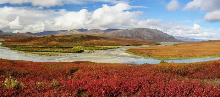Framed Print : USA, Alaska, Noatak National Preserve. Autumn colors at the confluence between Noatak and Niniuktuk Rivers Framed Print : USA, Alaska, Noatak National Preserve. Autumn colors at the confluence between Noatak and Niniuktuk Rivers