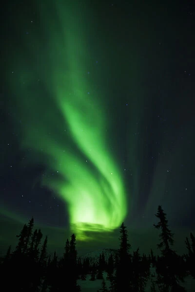 USA; Alaska; Northern Lights in the Alaska Sky