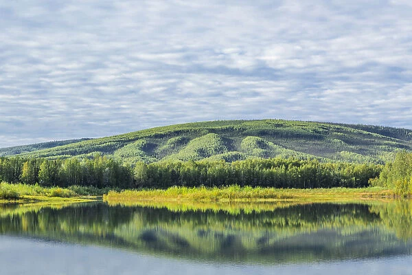 USA, Alaska, Olnes Pond. Landscape with pond reflection