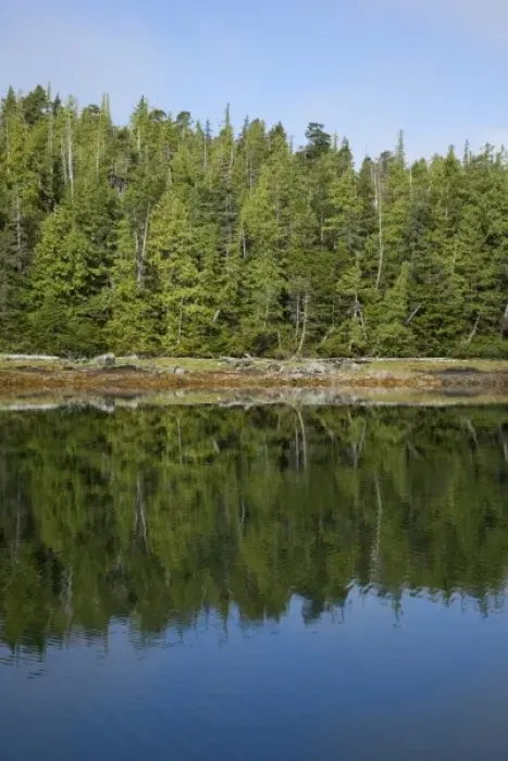 Framed Print : USA, Alaska. Outside of Ketchikan in Southeastern Alaska