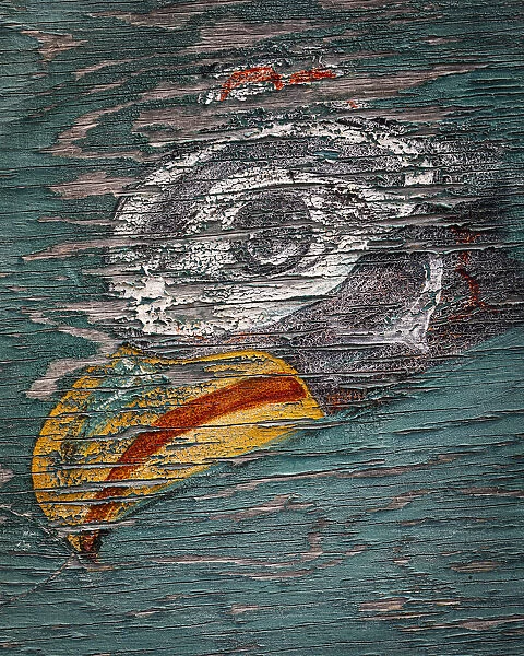 USA, Alaska, Pelican. Weathered painting of bird head. Credit as