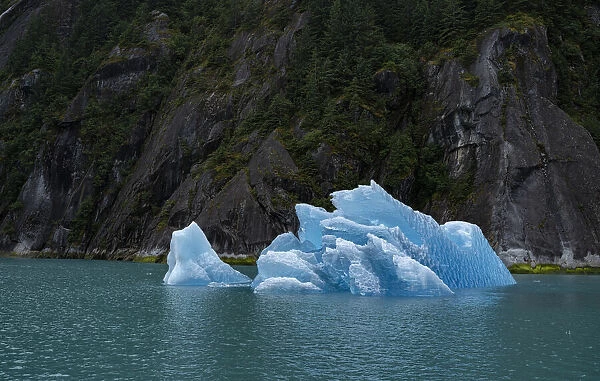 Usa, Alaska. This perfect iceberg floats in the blue waters of Endicott Arm near a steep glacially carved cliff