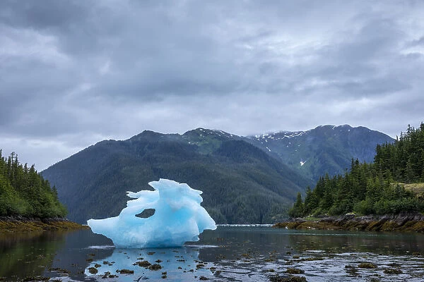 USA, Alaska, Petersburg, Large iceberg from LeConte Glacier grounded at low tide in