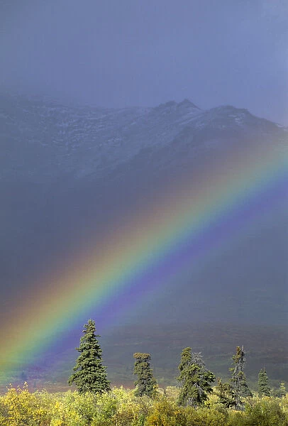 USA, Alaska, Rainbow, Tundra, Fall, Denali National Park