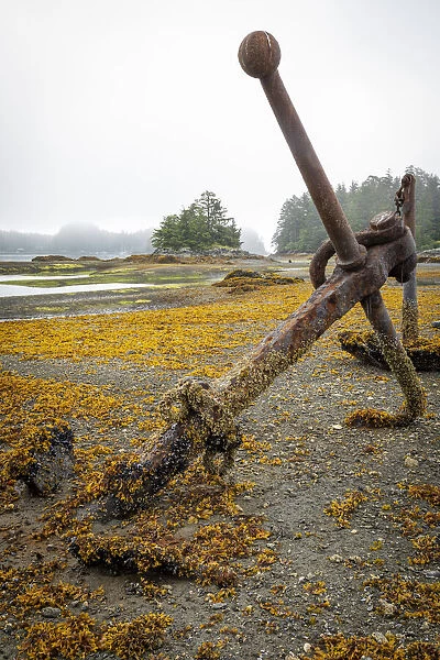 USA, Alaska, Sitka. Old anchors at ocean low tide. Credit as