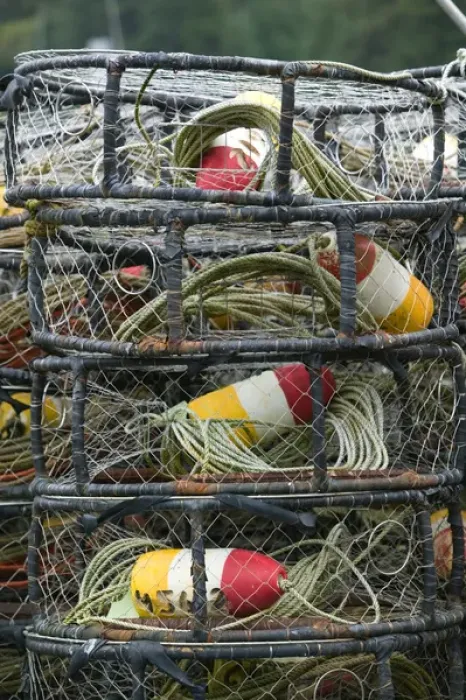 Framed Print : USA-ALASKA-Southeast Alaska-JUNEAU Area: TEE HARBOR  /  Crabbing nets  /  Pots