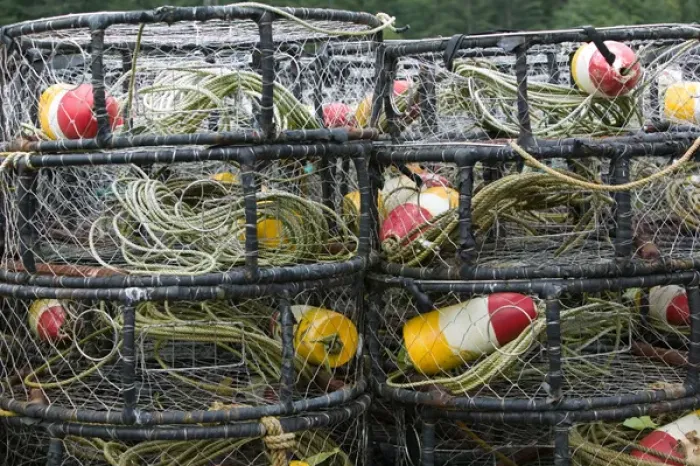 Framed Print : USA-ALASKA-Southeast Alaska-JUNEAU Area: TEE HARBOR / Crabbing nets / Pots Framed Print : USA-ALASKA-Southeast Alaska-JUNEAU Area: TEE HARBOR / Crabbing nets / Pots