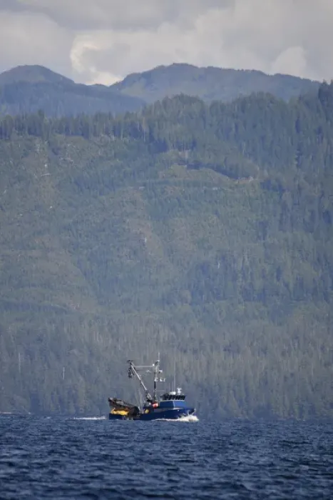 Framed Print : USA, Alaska, Southeast north of Ketchikan, seine fishing boat Framed Print : USA, Alaska, Southeast north of Ketchikan, seine fishing boat