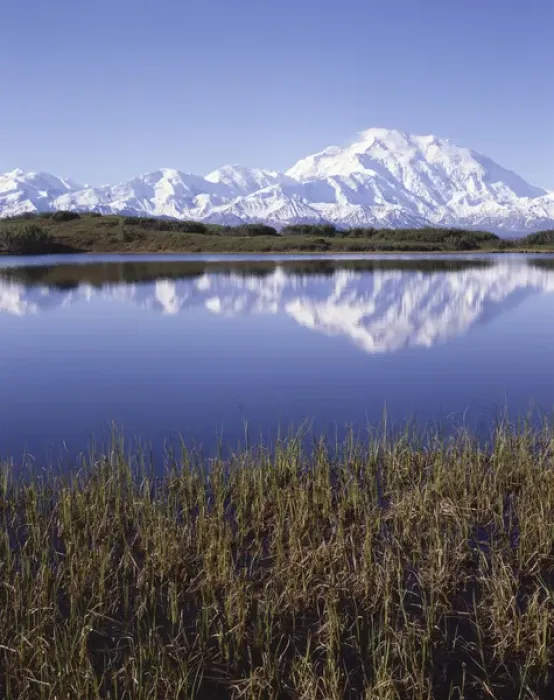 Framed Print : USA, Alaska, Summer, Tundra Pond, Mount McKinley, Denali National Park