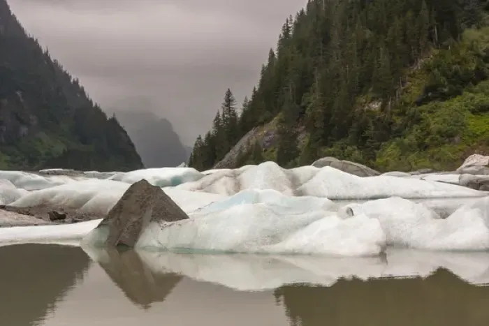 Framed Print : USA, Alaska, Tongass National Forest. Icebergs in Shakes Lake
