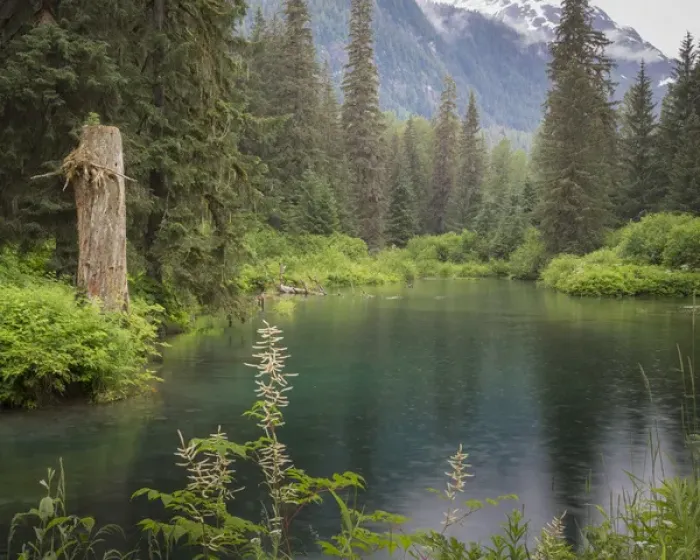 Framed Print : USA, Alaska, Tongass National Forest. Landscape with Beaver Pond on Fish Creek. Credit as