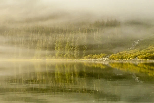 USA, Alaska, Tongass National Forest. Endicott Arm in fog