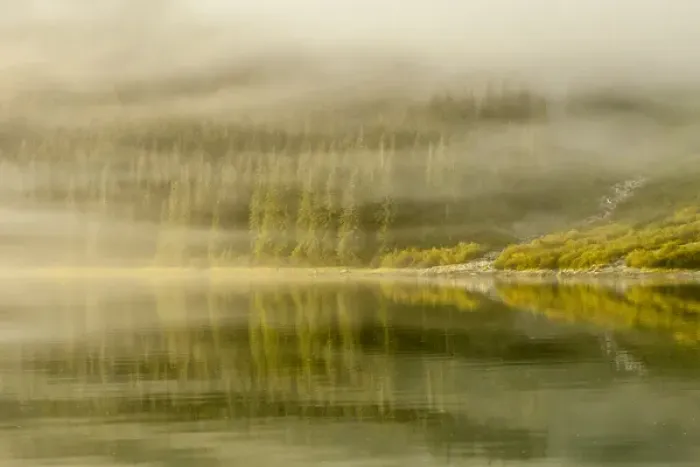 Framed Print : USA, Alaska, Tongass National Forest. Endicott Arm in fog