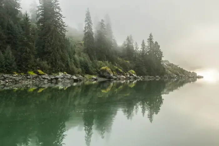 Framed Print : USA, Alaska, Tongass National Forest. Foggy shoreline and water reflection. Credit as Framed Print : USA, Alaska, Tongass National Forest. Foggy shoreline and water reflection. Credit as