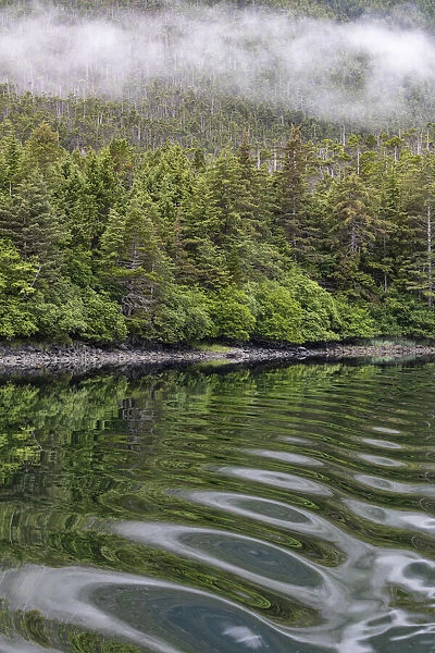USA, Alaska, Tongass National Forest. Boat wake ripples in Mirror Harbor