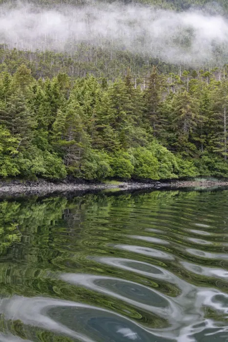 Framed Print : USA, Alaska, Tongass National Forest. Boat wake ripples in Mirror Harbor Framed Print : USA, Alaska, Tongass National Forest. Boat wake ripples in Mirror Harbor