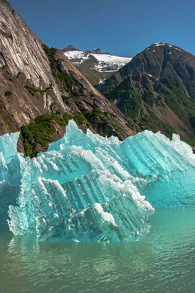USA, Alaska, Tongass National Forest. Icebergs in Endicott Arm inlet