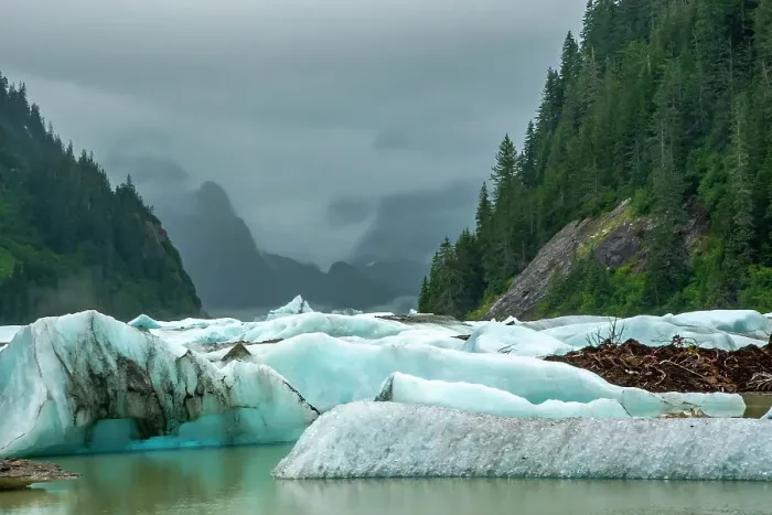 Framed Print : USA, Alaska, Tongass National Forest. Icebergs in Shakes Lake