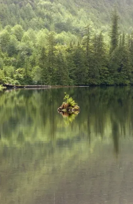 Framed Print : USA, Alaska, Tongass National Forest, Southeast Framed Print : USA, Alaska, Tongass National Forest, Southeast