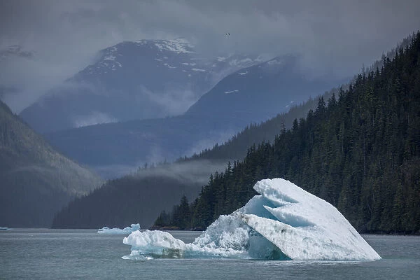 USA, Alaska, Tracy Arm-Fords Terror Wilderness, Glacial iceberg floating in Holkham Bay