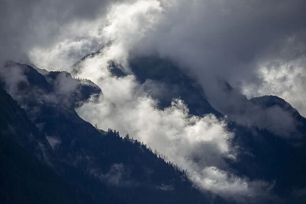 USA, Alaska, Tracy Arm-Fords Terror Wilderness, Morning sun lights mist swirling in