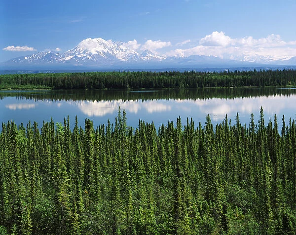 USA, Alaska, Willow lake and Mt Wrangell in Wrangellaa'St. Elias National Park