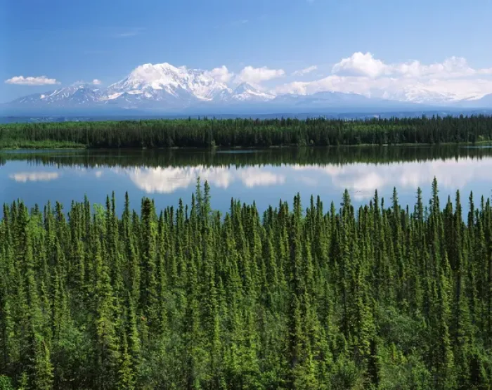 Framed Print : USA, Alaska, Willow lake and Mt Wrangell in Wrangellaa'St. Elias National Park Framed Print : USA, Alaska, Willow lake and Mt Wrangell in Wrangellaa'St. Elias National Park