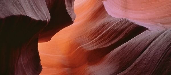 USA, Arizona, Antelope Canyon. Sunlight enhances the sandstone striations in Antelope Canyon