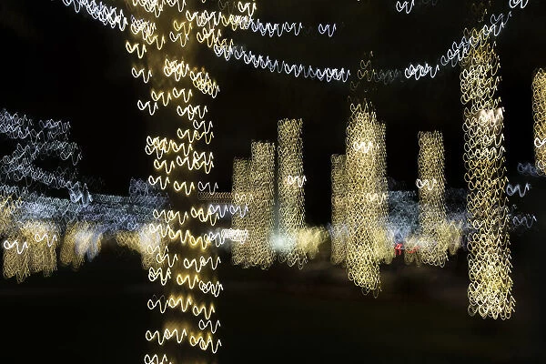 USA, Arizona, Buckeye. Abstract of decorated trees at night during Christmas