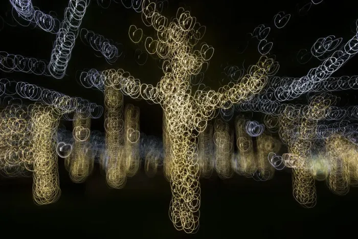 Framed Print : USA, Arizona, Buckeye. Abstract of decorated trees at night during Christmas Framed Print : USA, Arizona, Buckeye. Abstract of decorated trees at night during Christmas